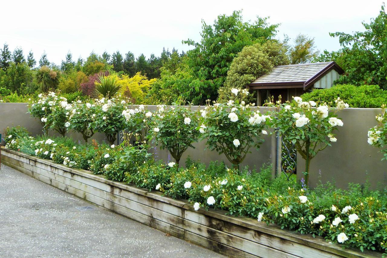 Belle Maison French Country Stay New Plymouth Dış mekan fotoğraf